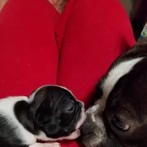 Meet your Posher, Mary